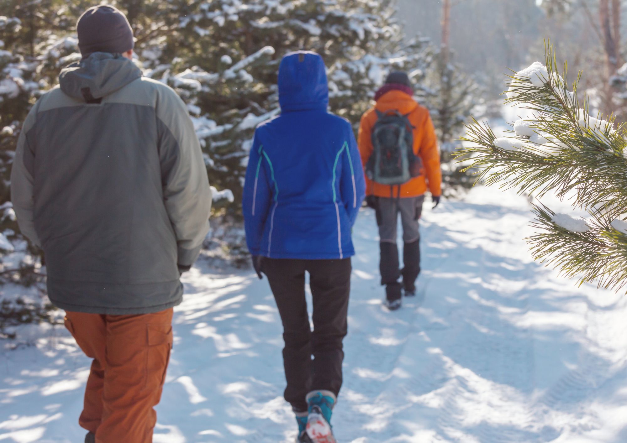 What to Wear Hiking in 30 F Degree Weather - Outdoors Champion